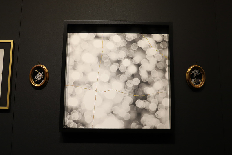 金継ぎからインスピレーションを得て、写真を金の絵の具でつないだアートも展示