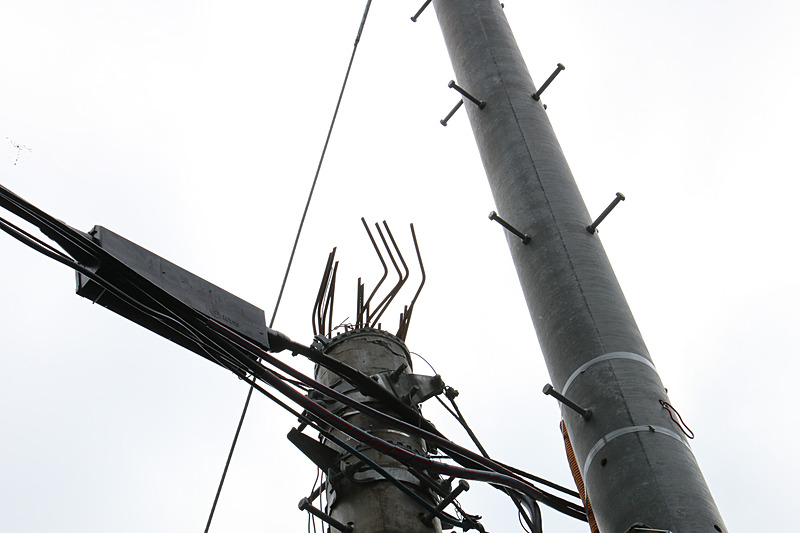 杉林脇に半分ほどの高さで折れた電柱と、すぐ横に並んで立てられた真新しい電柱があった