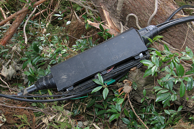 倒木の中にはNTTのロゴマークが入ったボックスとケーブルが巻き付いたものも