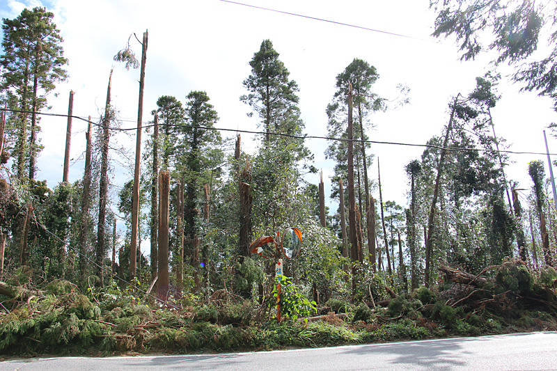 倒木が当たったのか大きく破損したカーブミラー