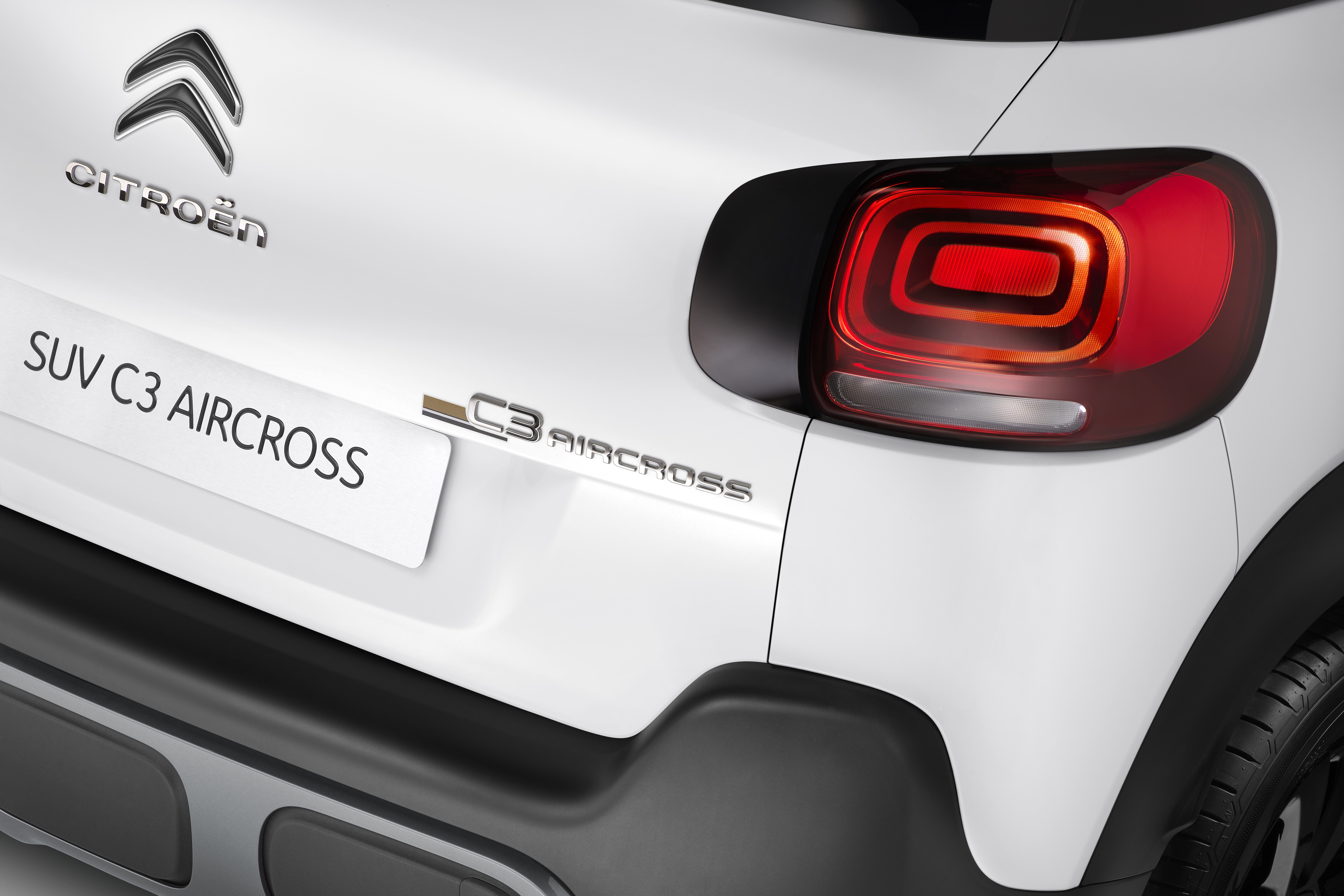 エクステリアではフロントドアに100周年記念ロゴマークをあしらったほか、随所にヴィンテージ感あるブロンズをアクセントとして加える