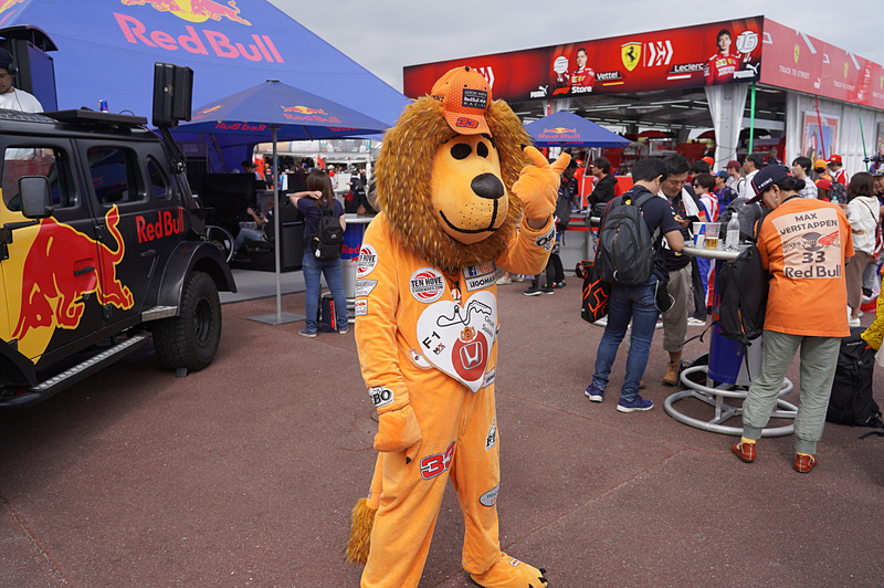 レッドブルやトロロッソの服などを着たファンが今年はさらに増えている
