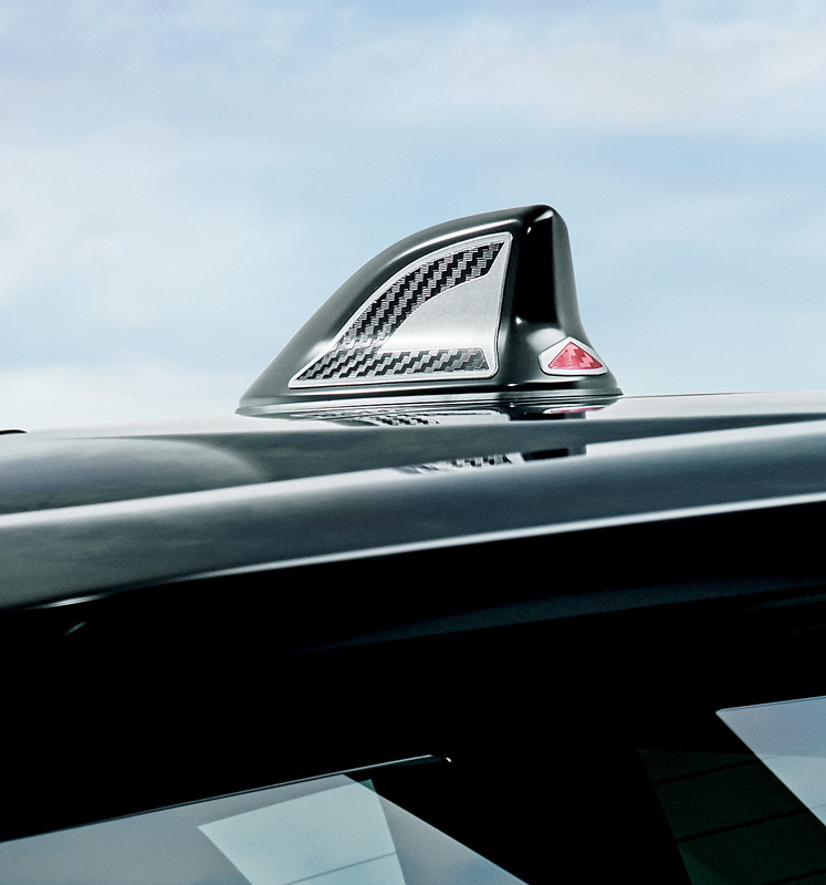 アンテナガーニッシュ：1万円（税別）