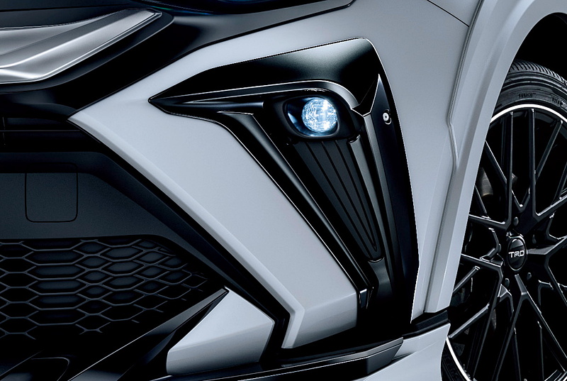 フォグガーニッシュ：3万円（税別）