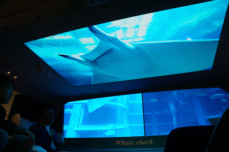 水族館のような空間に変身