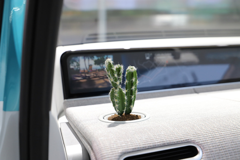 WaiWaiのインテリア。優しい色使いでモダンなデザインのインテリアに、ぽつんと植えられていたサボテンがなんだかかわいかった