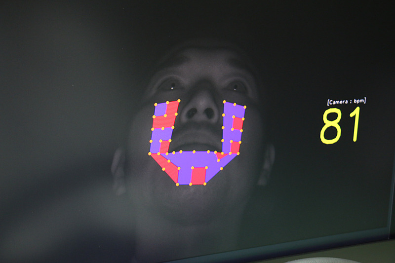 グリッドの赤く表示されている部分が脈拍センシングを行なっている部分