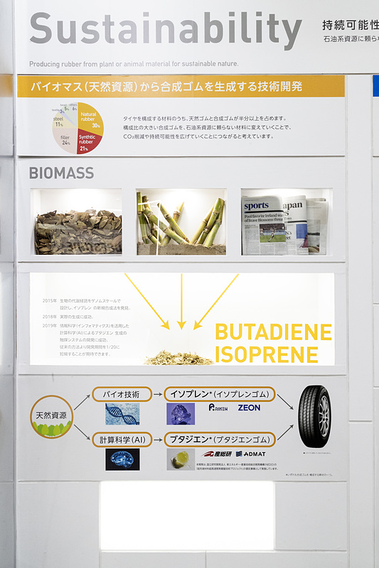 天然資源（バイオマス）から合成ゴムを精製