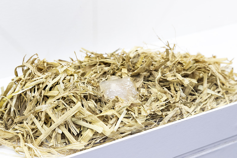 合成したブタジエンゴム