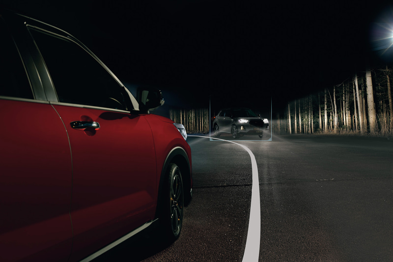 夜間の検知イメージ