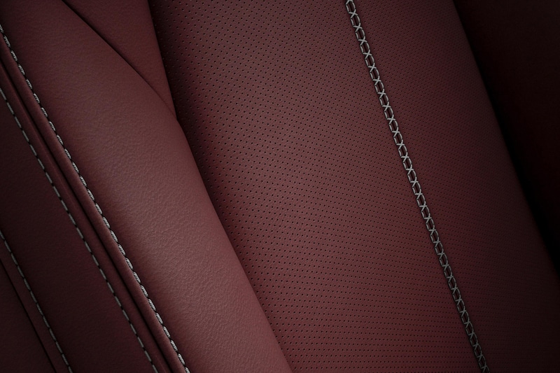 VS Burgundy Selection