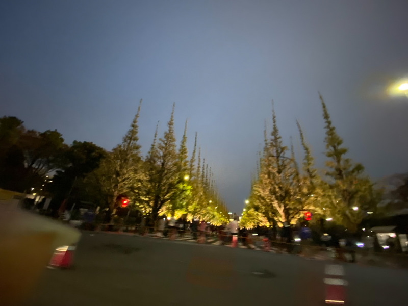 夕方になり、イチョウ並木のライトアップを見てから帰ろうと思ったら、娘が眠くてぐずりだしてしまい泣く泣く断念。仕方がないので、夫に少しゆっくり運転してもらって、助手席から一瞬だけ鑑賞しました。慌てて撮影したのでブレてる＆指が入っててスミマセン（汗）