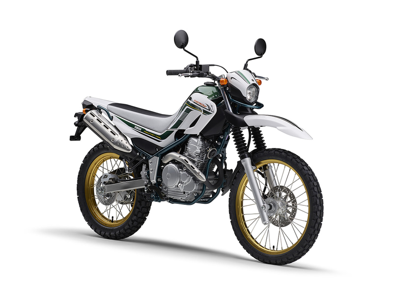 パープリッシュホワイトソリッド1（ホワイト/グリーン）