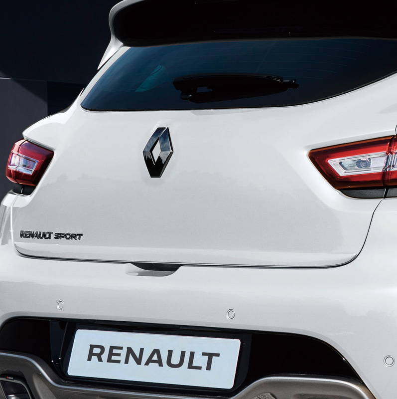 ブラックエンブレム（前後ロザンジュ、前R.S.エンブレム、後RENAULT SPORTエンブレム）