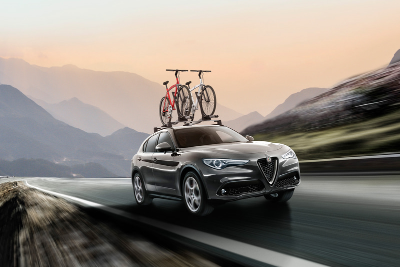 ブラックルーフレールを追加するとともにウィンドウモールディングもクロームタイプからブラックへ変更された