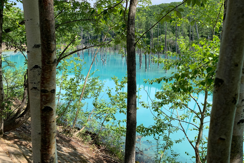 北海道の青い池