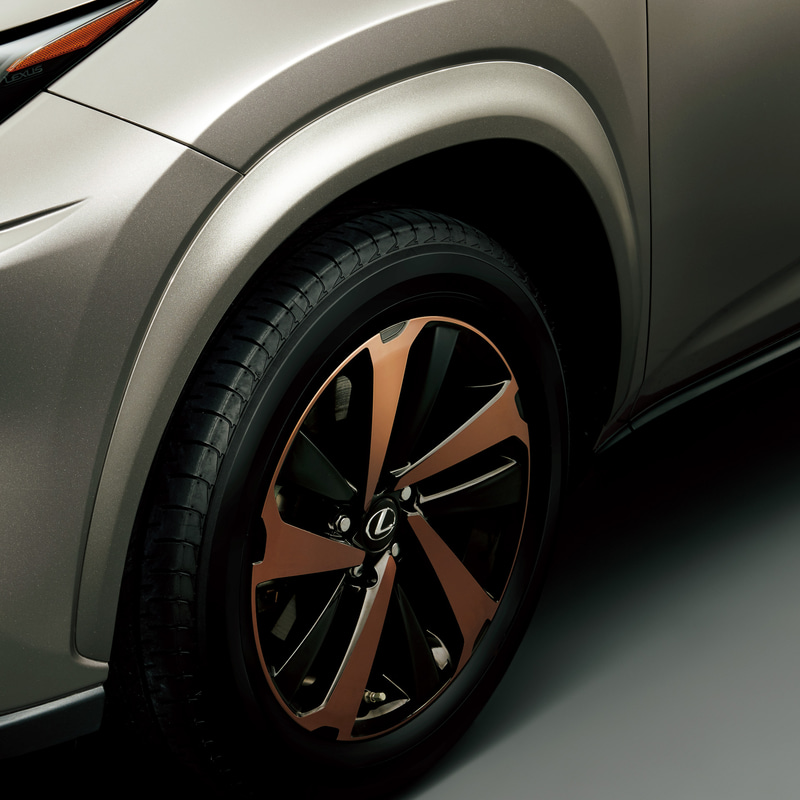 フェンダーアーチモール（カラード）※ボディカラー同色