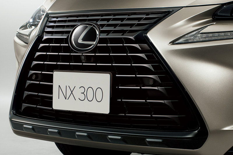 スピンドルグリル&フレーム（特別仕様車専用ブラック塗装）