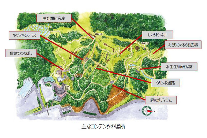 森のファミリーウォーク TEKUTEKUはハローウッズの森が舞台