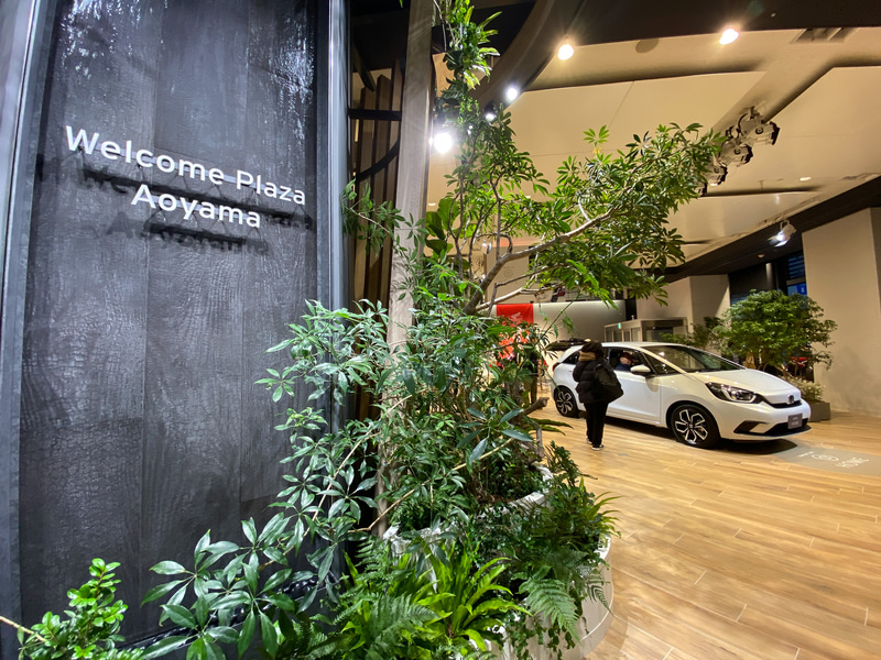 メインエントランスに設置された「ワイガヤの木」