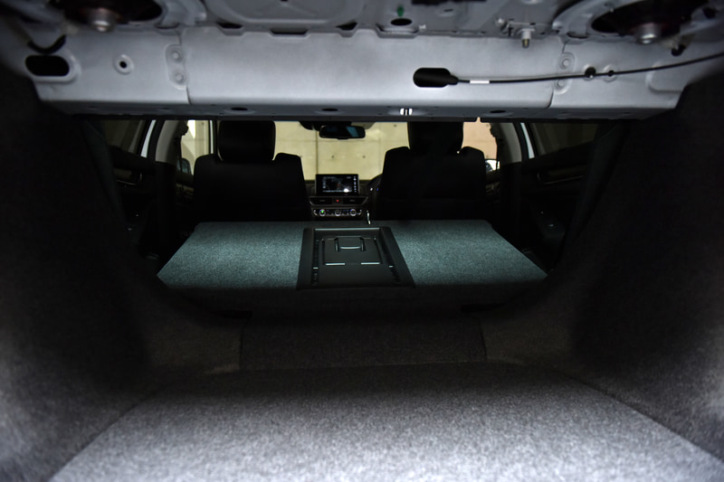 トランスクスルーをしたところ