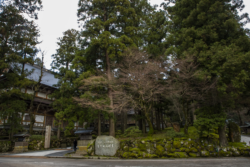 九頭竜川沿いに広がる永平寺町。町名にもある永平寺は世界的にも有名な禅の修行道場。九頭竜川より南は役場を含むにぎやかなエリア。中心部は鉄道や路線バスも通り便利で住みやすそうな環境だが、川の上流に行くと風景はのどかになる