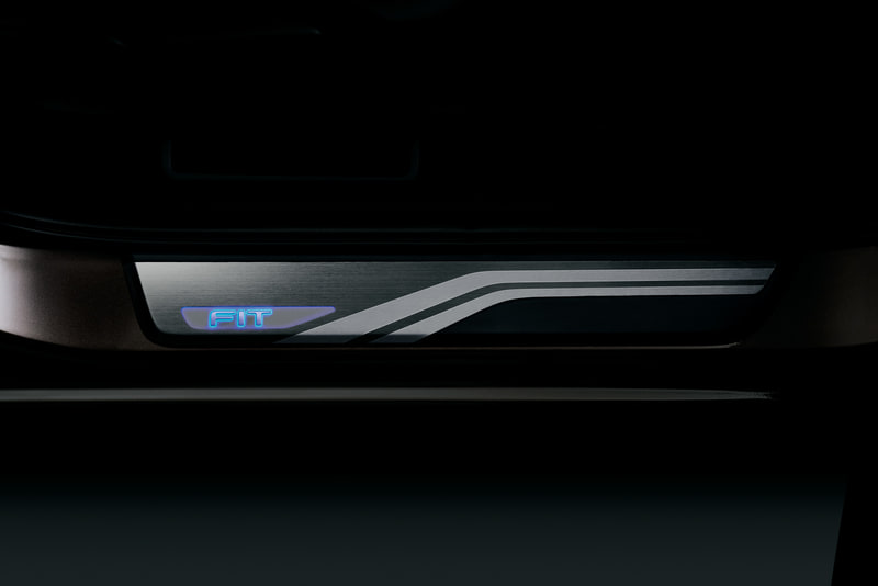 サイドステップガーニッシュ（ブルー）：2万9700円