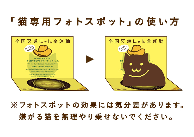 フォトスポットの使い方は「折るだけ」と簡単。あとは床に置いてひたすら待つのみ