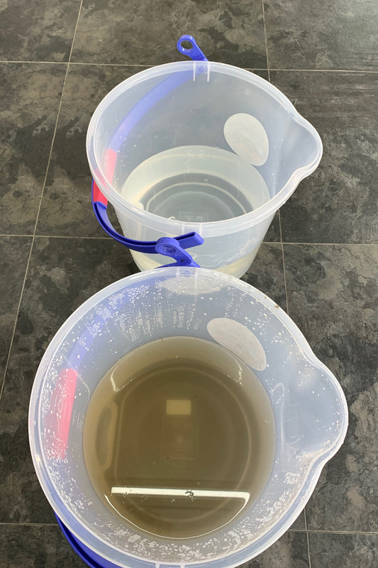 最初の洗浄液（手前）と2番目の洗浄液（奥）。3回目はさらに透明になった