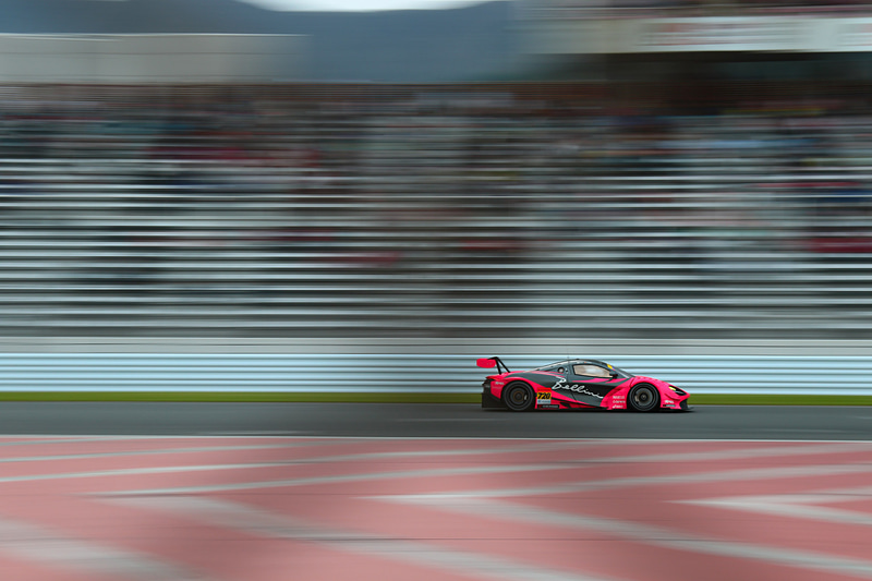 金網がしっかり写ったボツ写真