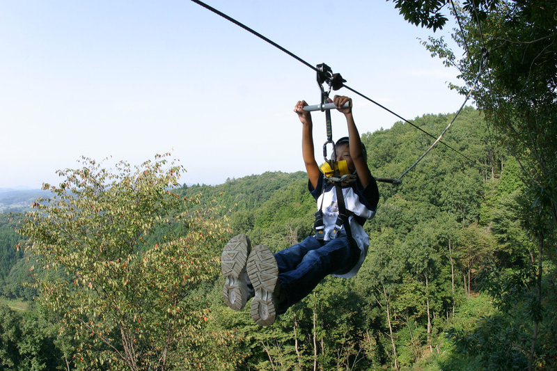 「ハローウッズ」