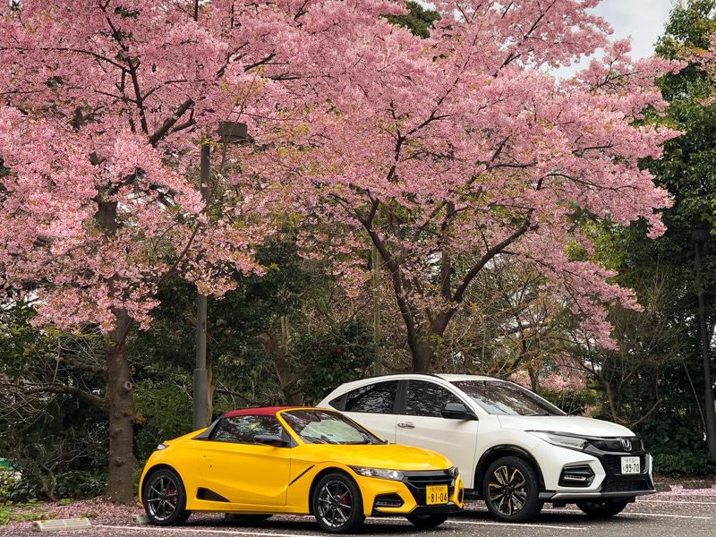 箱根ターンパイク出口から、市街地をものの5分ほど走ったところで、思いがけず出逢った満開の河津桜。撮影を終えた2台を再び並べて、記念撮影をしてしまいました。こんな時期なので人影もまばらでしたが、それでもカップルや家族連れなどが嬉しそうに写真を撮ったり、眺めたり。春は着実にやってくるんだと思えて、心に沁みました。やっぱり桜は日本人に欠かせない花ですね