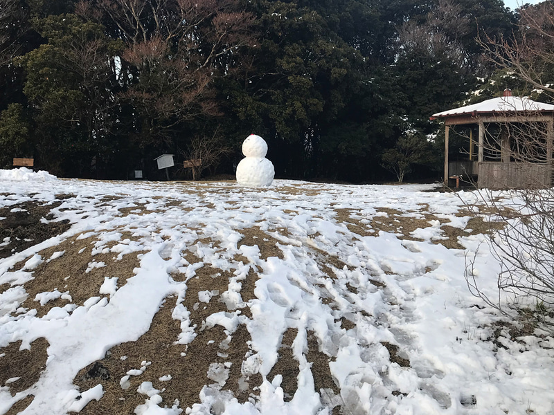 今春、関東で雪を見るのはこれが最後か……（3月15日足柄峠）