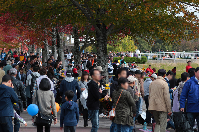 岡崎中央総合公園