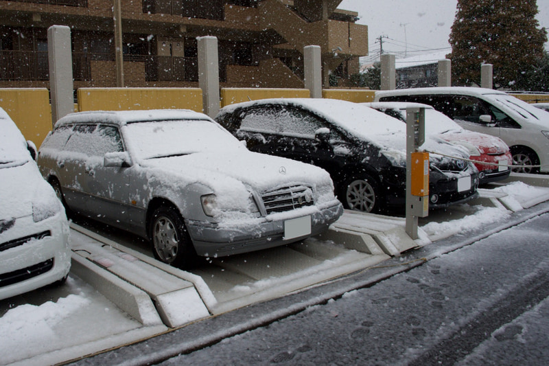 3月29日の季節外れの大雪。東京・国立市内は5センチ程度積もった