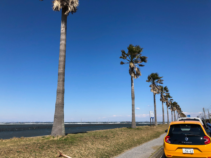 朝、昼間、夕暮れ時、夜と、時間帯によっていろんな表情を見せてくれる千葉フォルニア。これはCar Watchで公開されたシトロエン・ベルランゴのレポートの際に訪れました。千葉フォルニアはもちろん正式な地名ではなく愛称で、袖ヶ浦にあるので袖フォルニアと呼ばれることもあるそうです。東京からは東京湾アクアラインを超えて木更津金田ICでおり、木更津アウトレットモールを超えて、袖ケ浦市の国道16号線から袖ヶ浦海浜公園へ向かうまでの直線道路。潮干狩りで有名な牛込海岸の近くです