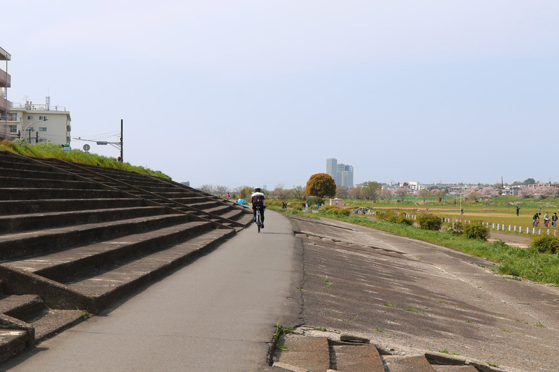 再舗装されたと思われる中間の通路は自転車や散歩をする人にはちょうど良い通路となっていた。対岸の東京側の堤防には桜が見えた。遠くに二子玉川駅周辺のビル群が見える