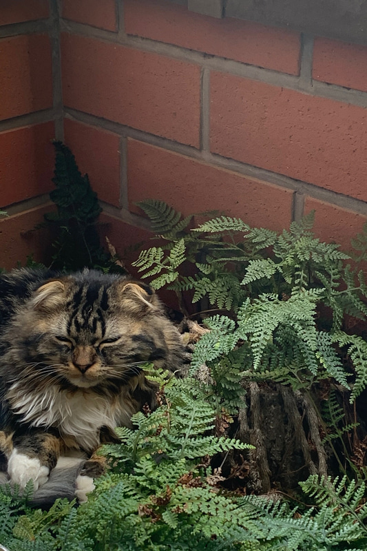 ムクは新しい遊び場を見つけて和んでます