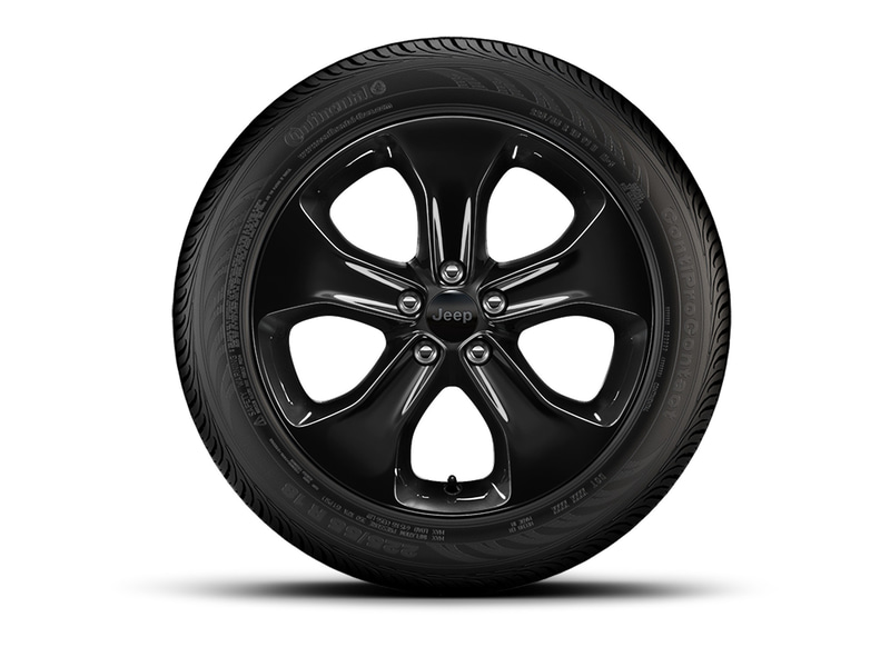 コンパス・ナイトイーグル