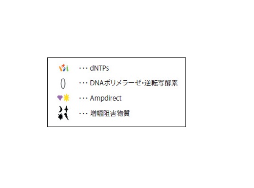 2019新型コロナウイルス検出試薬キットはRNA精製を不要にするAmpdirect技術をベースに開発。生体試料に含まれる正電荷物質（ある種のタンパク質など）は鋳型（DNA/RNA）に、負電荷物質（ある種の糖、色素など）はポリメラーゼ（DNA）に吸着し、PCRを阻害すると考えられており、Ampdirectにはこれらの物質を抑制する働きがあるため、生体試料から直接RT-PCRが可能になるという
