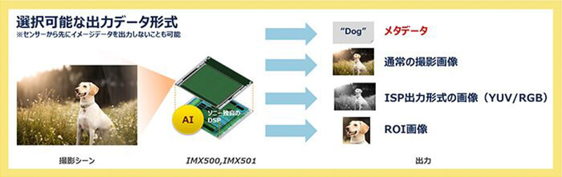 必要な出力データ形式を選択可