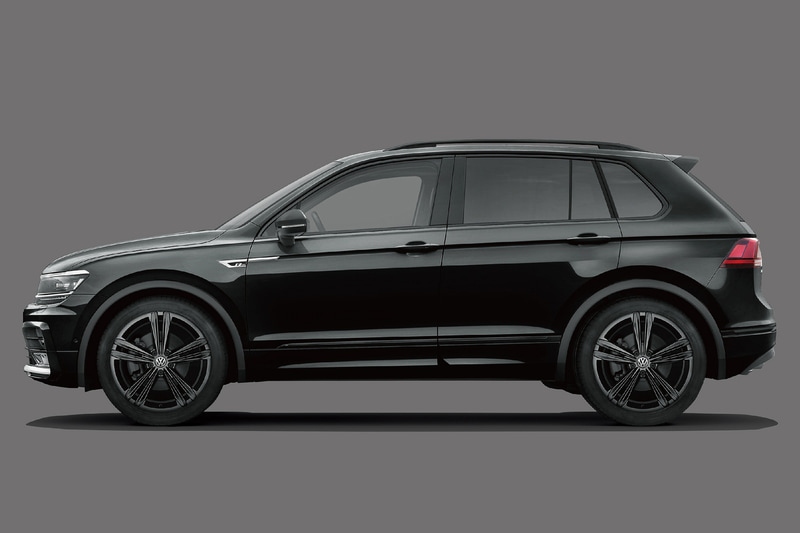 ディープブラックパールエフェクト