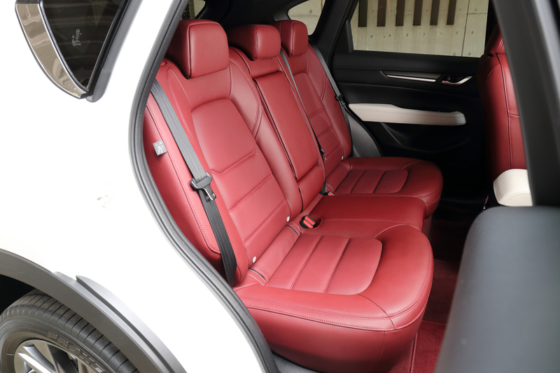 内装はバーガンディのシート