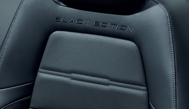 BLACK EDITIONロゴ入り本革シートやブラックルーフライニングを採用