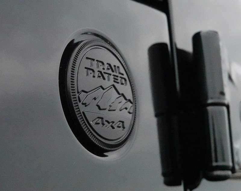 TRIAL RATEDバッヂ