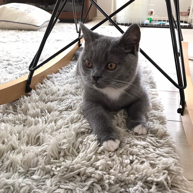 本当に動かない……