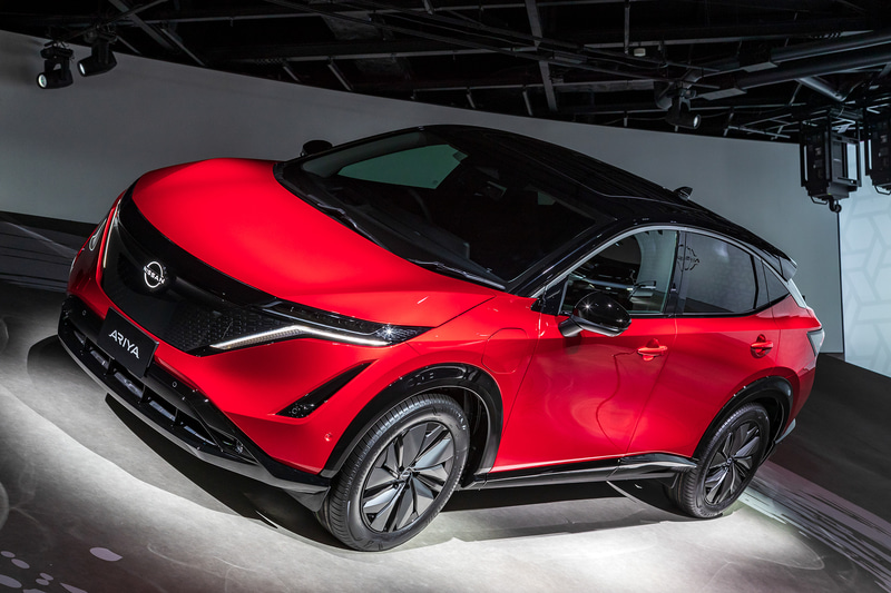 レッド系カラー