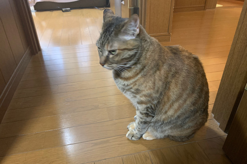 モモです。扉の向こうにはムクがいて、そろそろと後ずさりをしたいところでムズムズしてます