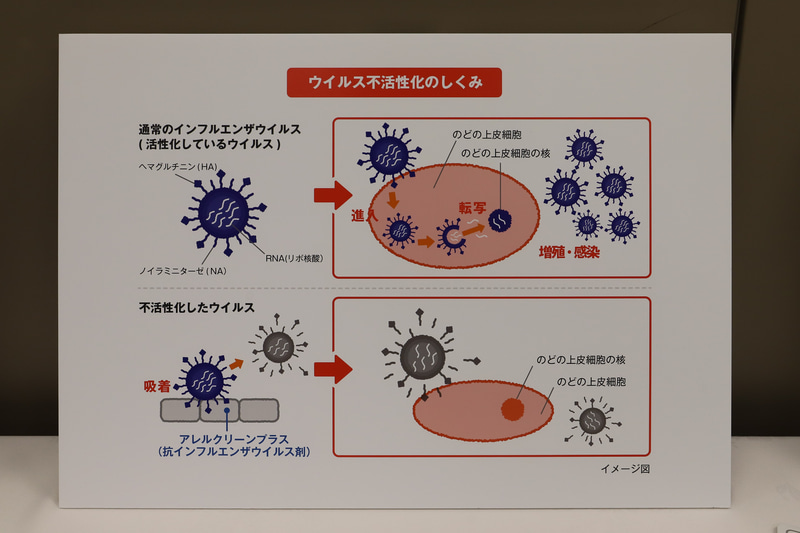 ウイルス不活性化のしくみ