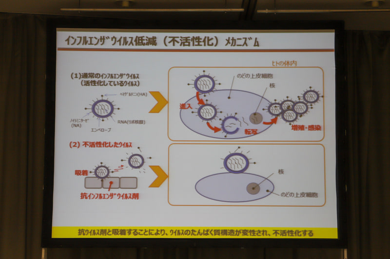 活性化しているウイルスを体内に取り込むと、ウイルスの突起形状であるヘマグルチミンが喉の上皮細胞の受容体と接触することで体内に侵入し、RNAを核に転写することで増殖して感染。抗インフルエンザウイルス剤は、活性化しているウイルスを吸着し、接触することで、ウイルスのタンパク質構造を変成してウイルスを不活性化。不活性化したウイルスを口腔内に取り込んでしまったとしても、喉の上皮細胞に侵入することを抑制するとされている